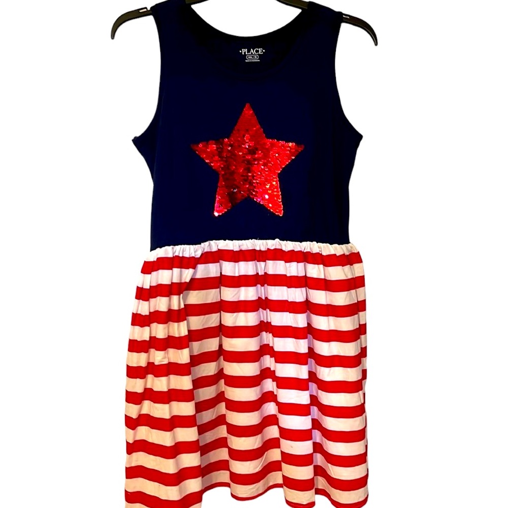 The Children's Place Navy and Red Star Dress